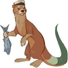 jed otter