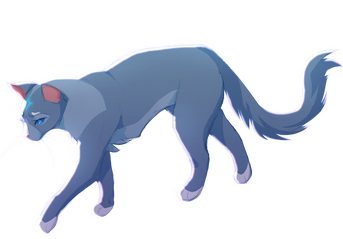 bluestar pb style