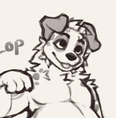aussie shep sketch