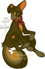 feral dog