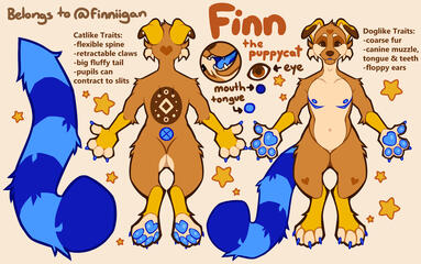 finn refsheet example