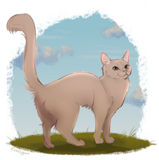 fullbody coloured + bg